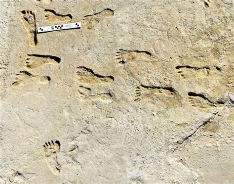 dating human footprints